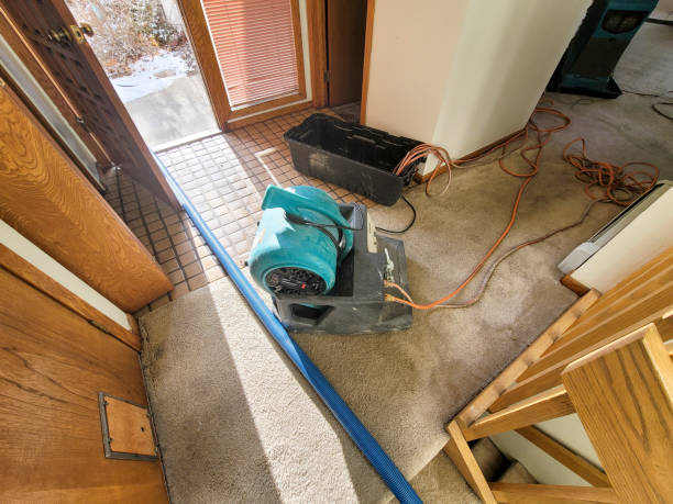 Best Sewage cleanup and water damage restoration  in Milton, LA