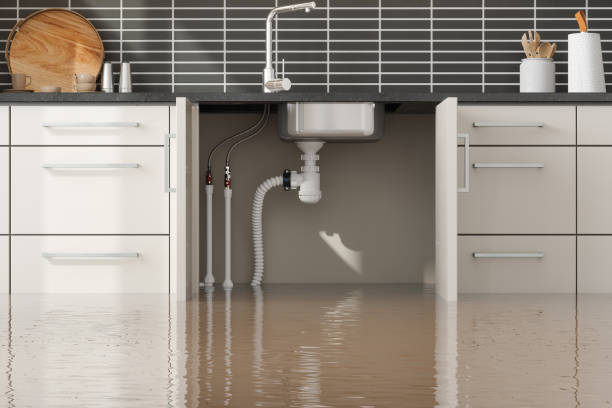Best Fire Damage Restoration  in Milton, LA